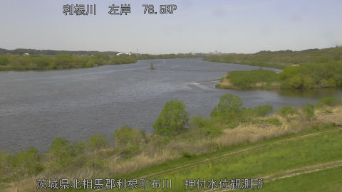 tonos2026041211_image