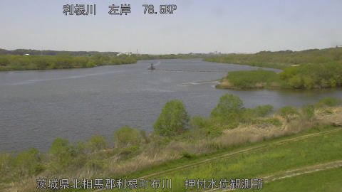 tonos2026041212_image