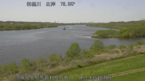 tonos2026041213_image