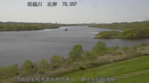 tonos2026041214_image