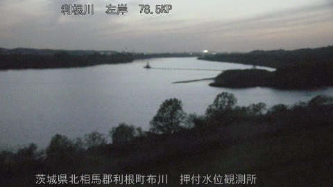 tonos2026041219_image