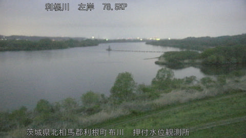 tonos2026041305_image