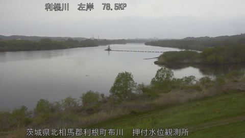 tonos2026041306_image