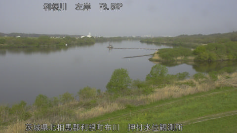 tonos2026041308_image