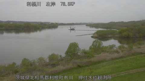 tonos2026041311_image