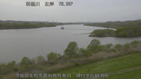 tonos2026041316_image