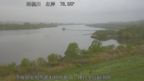 tonos2026041406_image