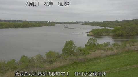 tonos2026041408_image