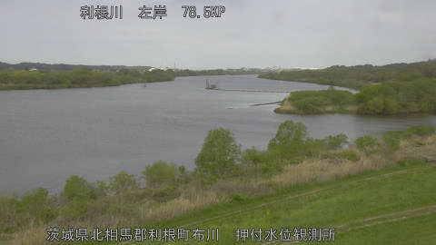 tonos2026041409_image