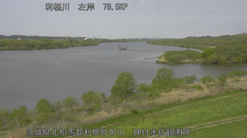 tonos2026041411_image