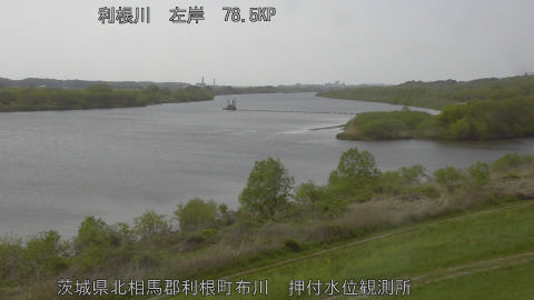 tonos2026041414_image