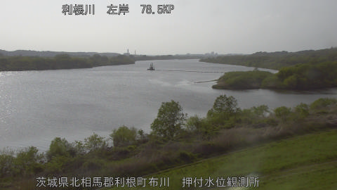 tonos2026041416_image