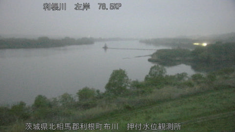 tonos2026041505_image