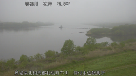 tonos2026041506_image