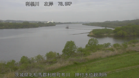 tonos2026041509_image