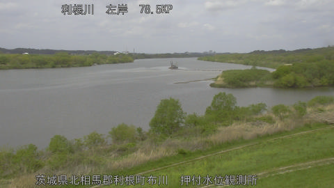 tonos2026041511_image