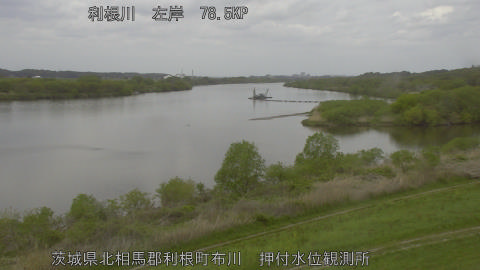 tonos2026041512_image