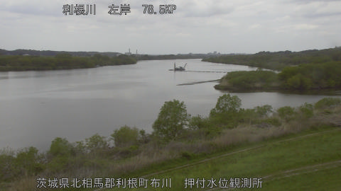 tonos2026041513_image