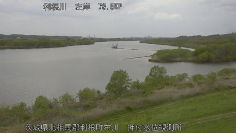 tonos2026041514_image