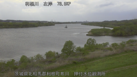 tonos2026041516_image