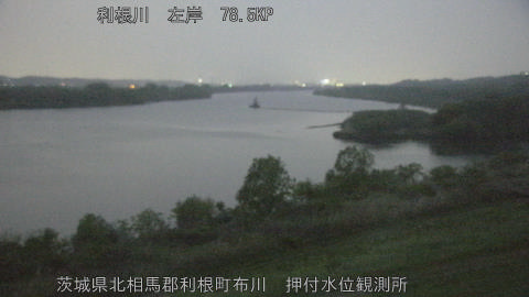 tonos2026041519_image