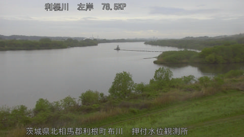 tonos2026041606_image