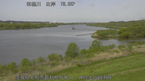 tonos2026041711_image