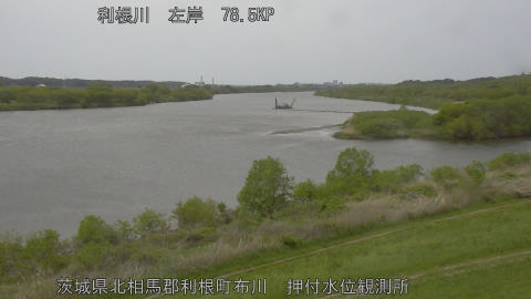 tonos2026041713_image