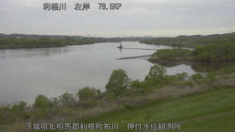 tonos2026041806_image