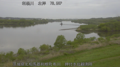 tonos2026041807_image