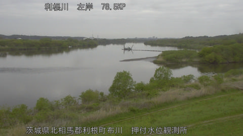 tonos2026041808_image