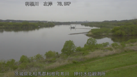 tonos2026041809_image