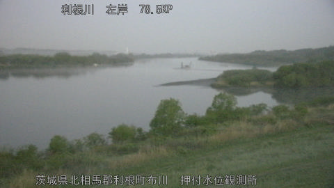 tonos2026041905_image