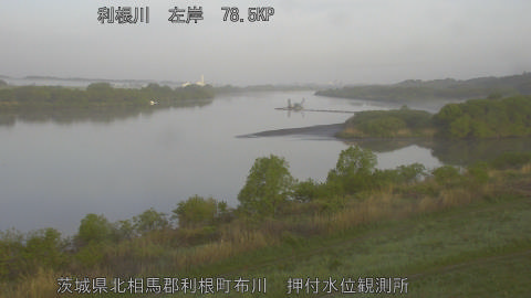 tonos2026041906_image