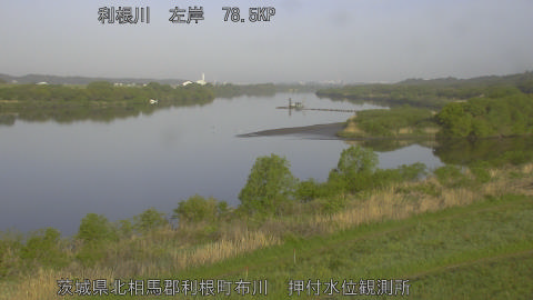 tonos2026041907_image