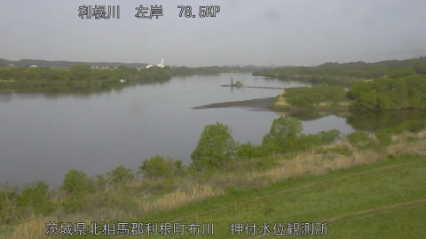 tonos2026041908_image