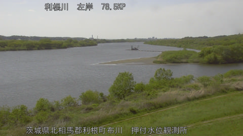 tonos2026041914_image