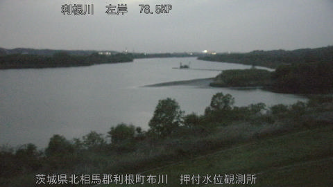 tonos2026041919_image