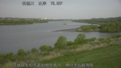 tonos2026042105_image