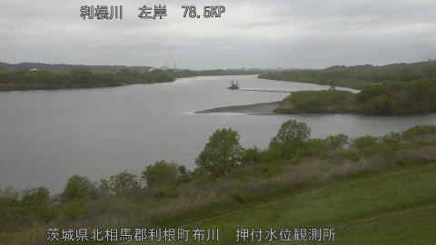 tonos2026042108_image