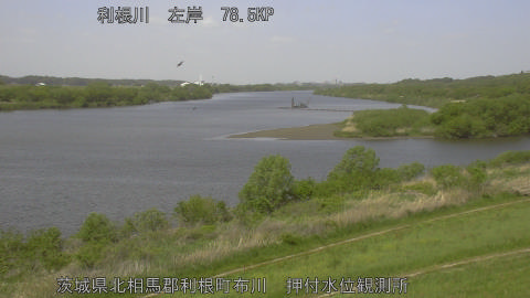 tonos2026042211_image