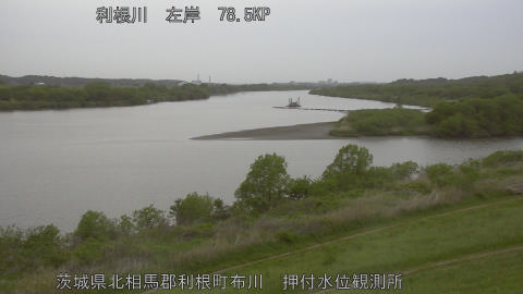 tonos2026042218_image