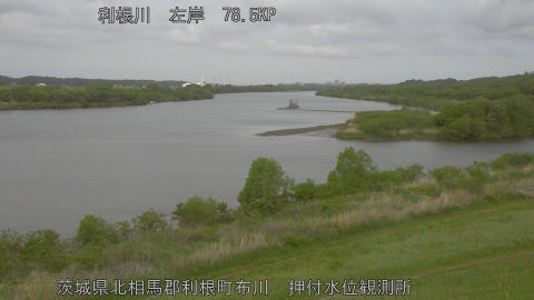 tonos2026042409_image