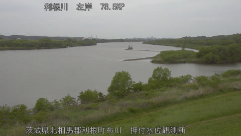 tonos2026042414_image