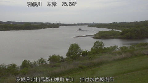 tonos2026042416_image