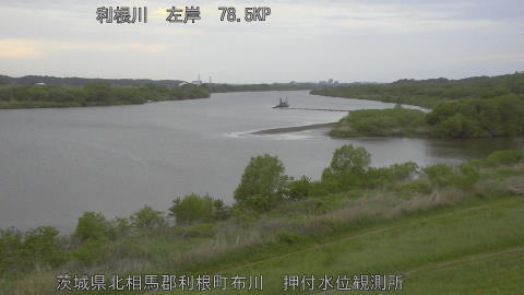 tonos2026042418_image