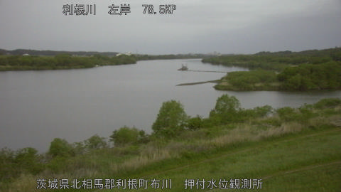 tonos2026042505_image