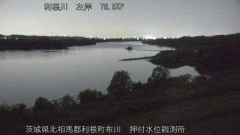 tonos2026042523_image