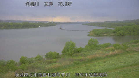 tonos2026042718_image