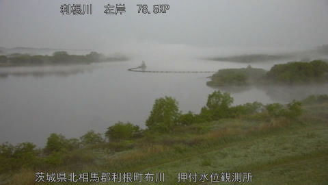 tonos2026042805_image